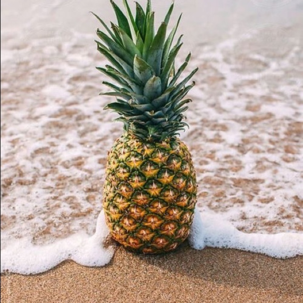 Meet your Posher, Alisha